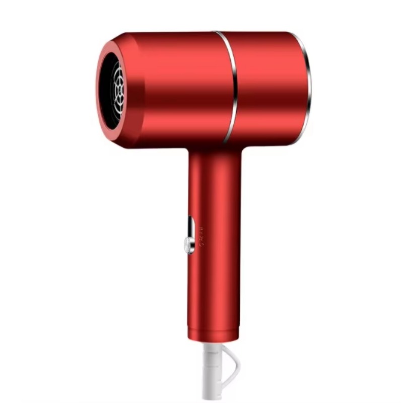 Elektrische haarhamer Föhn Blo - Hair Care Step recensie en prijs