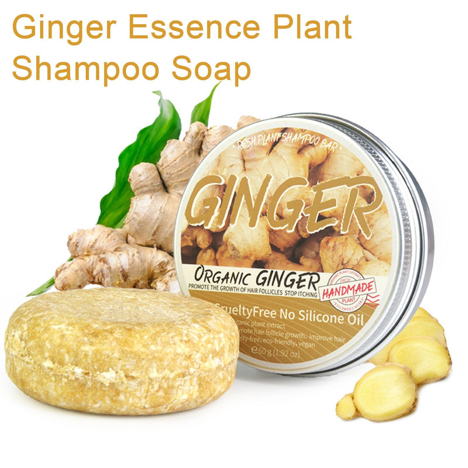 Gember Polygonum Zeep Shampoo  - Hair Care Pantene recensie en prijs